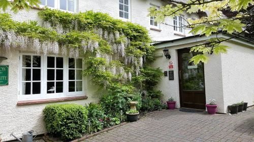 Tumbling Weir Hotel Ottery St Mary Zewnętrze zdjęcie